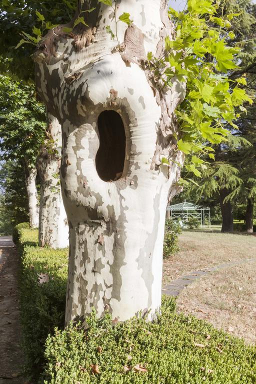 Bricco Pogliani Hotel CastellʼAlfero Esterno foto